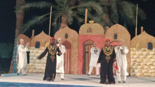 عروض فنية ومحاضرات متنوعة بثقافة الوادى الجديد