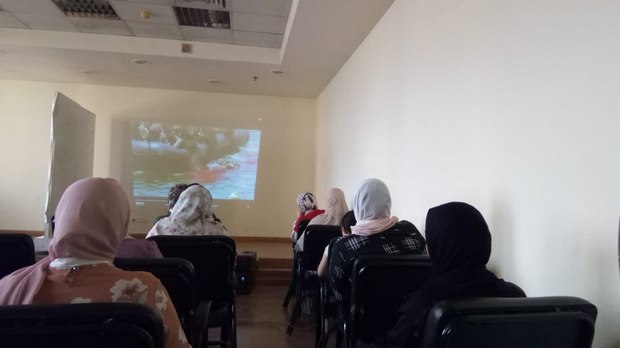 ثقافة القليوبية تحتفل بنصر أكتوبر