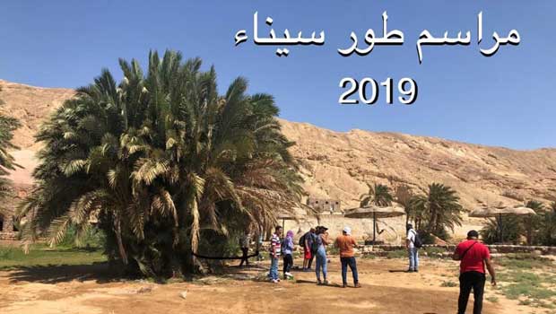 فنانون تشكيليون.. يبدعون بمراسم طور سيناء..