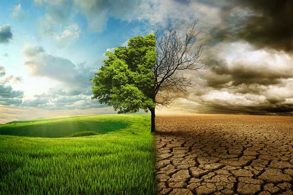 اليوم العالمي لمكافحة التصحر وجهود تجديد خصوبة الأراضي المتدهورة 