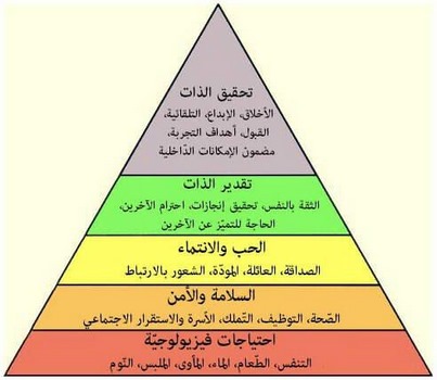 الفساد المالي والإداري برنامج تدريبي بقصور الثقافة 