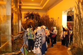 "أهل مصر".. فتيات ملتقى ثقافة المرأة الحدودية في زيارة تثقيفية لمتحف النيل بأسوان