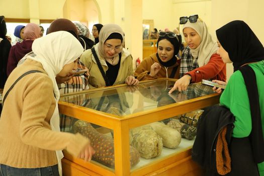 متحف الوادي الجديد يستقبل فتيات المحافظات الحدودية في الملتقى 15 لمشروع "أهل مصر"