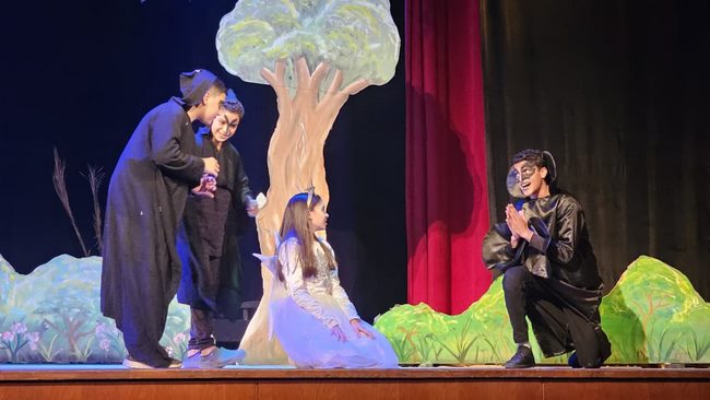 إقبال كبير على عروض مسرح الطفل بمركز طنطا الثقافي