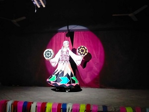 قصور الثقافة تقدم 