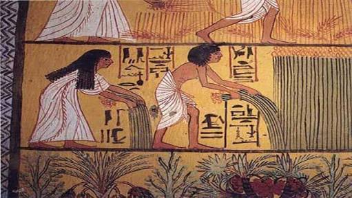 “الجندر”  مصطلح مصري قديم
