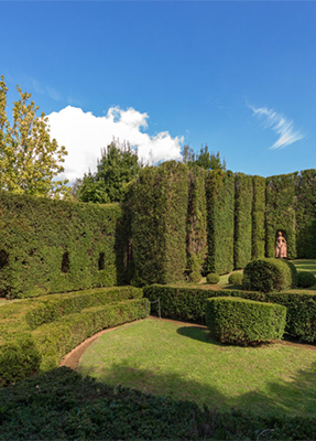 «مسارح الطبيعة»  قراءة فى كتاب يعيد رسم علاقة المسرح بالفضاء المفتوح